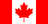 The flag of Canada is composed of a red vertical band on the hoist and fly sides and a central white square that is twice the width of the vertical bands. A large eleven-pointed red maple leaf is centered in the white square.